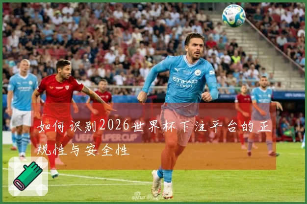 如何识别2026世界杯下注平台的正规性与安全性