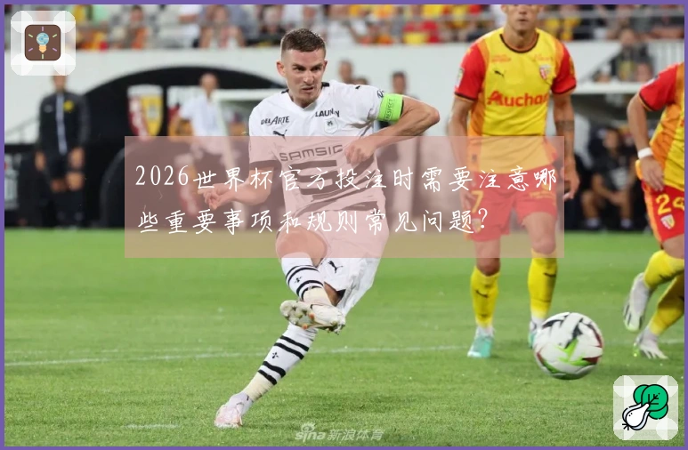 2026世界杯官方投注时需要注意哪些重要事项和规则常见问题？
