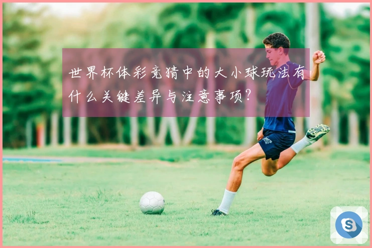 世界杯体彩竞猜中的大小球玩法有什么关键差异与注意事项？