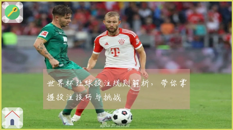世界杯让球投注规则解析，带你掌握投注技巧与挑战