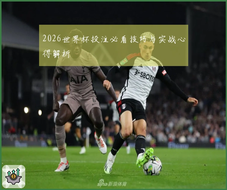 2026世界杯投注必看技巧与实战心得解析
