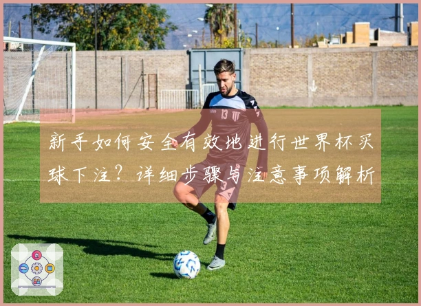 新手如何安全有效地进行世界杯买球下注？详细步骤与注意事项解析