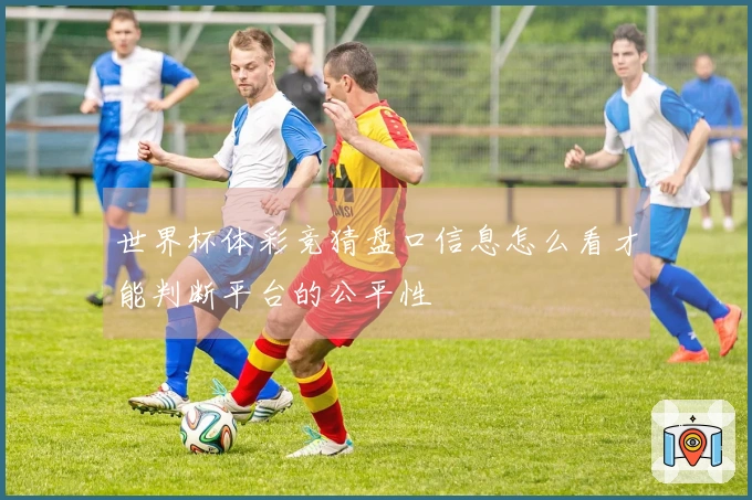 世界杯体彩竞猜盘口信息怎么看才能判断平台的公平性