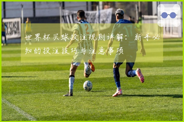 世界杯买球投注规则详解：新手必知的投注技巧与注意事项