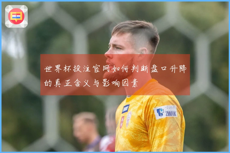 世界杯投注官网如何判断盘口升降的真正含义与影响因素