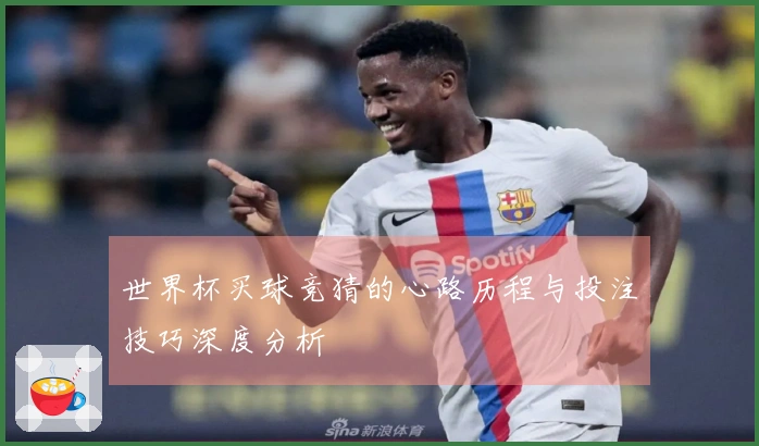 世界杯买球竞猜的心路历程与投注技巧深度分析