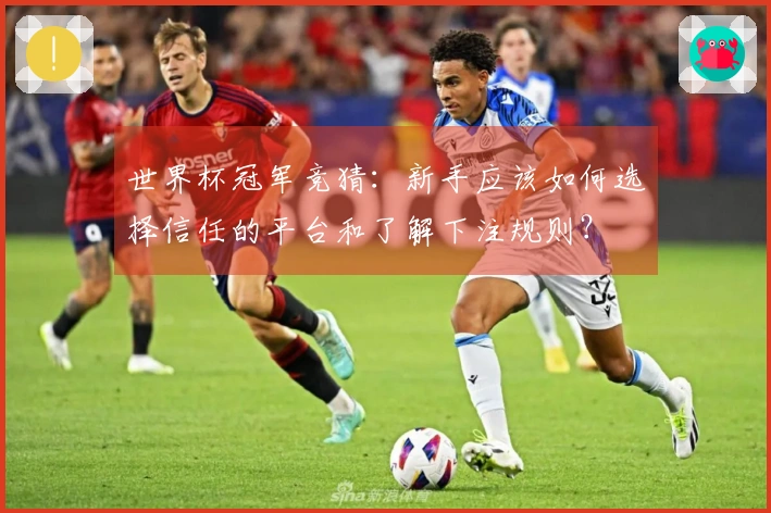 世界杯冠军竞猜：新手应该如何选择信任的平台和了解下注规则？