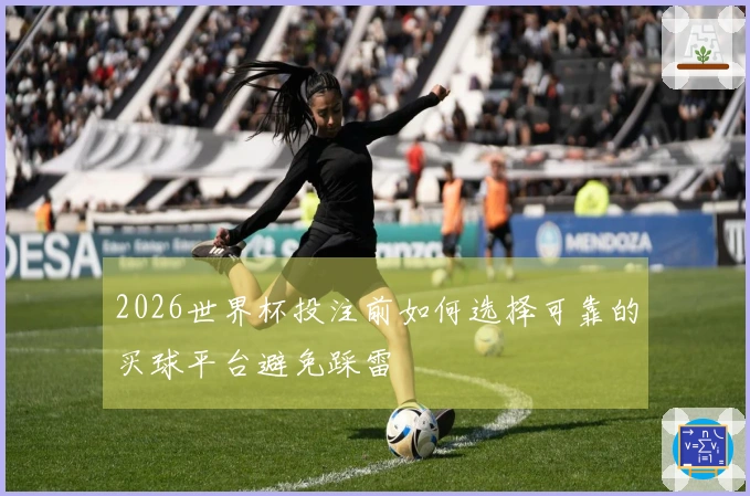 2026世界杯投注前如何选择可靠的买球平台避免踩雷