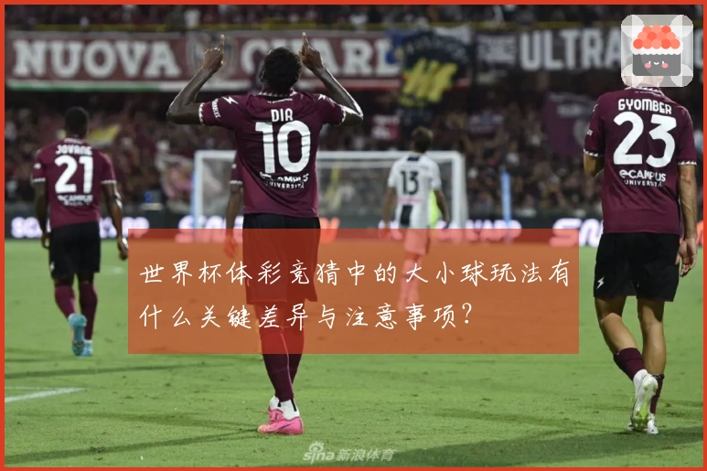 世界杯体彩竞猜中的大小球玩法有什么关键差异与注意事项？