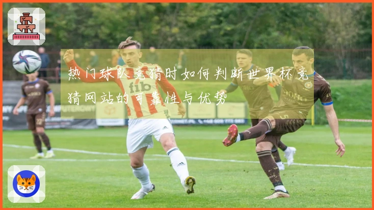 热门球队竞猜时如何判断世界杯竞猜网站的可靠性与优势