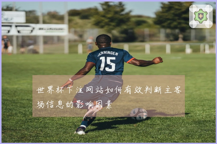 世界杯下注网站如何有效判断主客场信息的影响因素