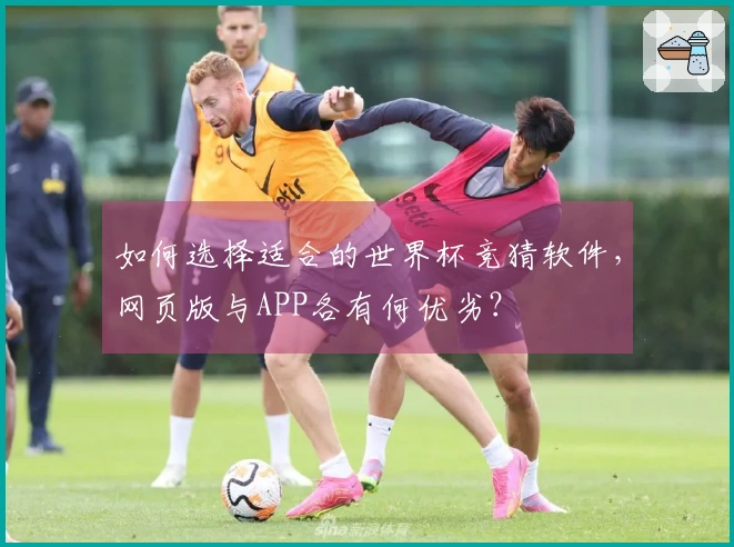 如何选择适合的世界杯竞猜软件，网页版与APP各有何优劣？