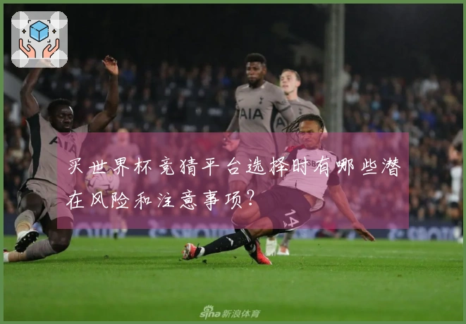 买世界杯竞猜平台选择时有哪些潜在风险和注意事项？
