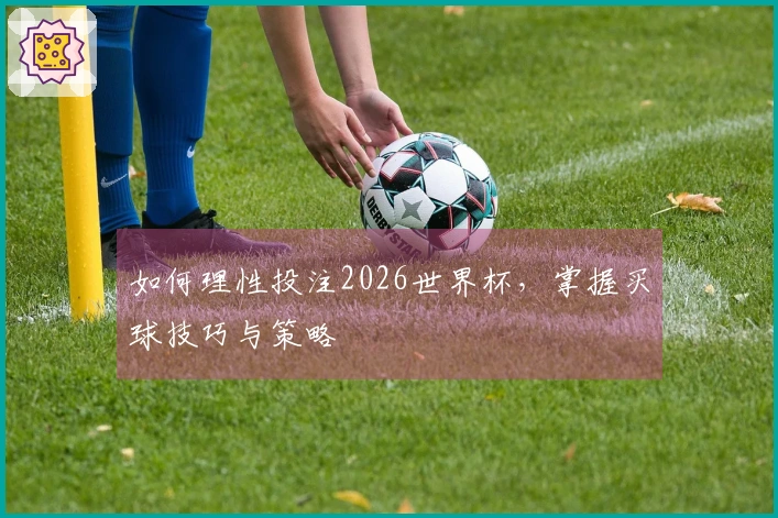 如何理性投注2026世界杯，掌握买球技巧与策略