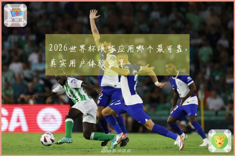 2026世界杯滚球应用哪个最可靠，真实用户体验分享