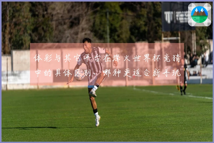 体彩与其它平台在烽火世界杯竞猜中的具体区别，哪种更适合新手玩家-