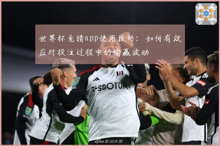 世界杯竞猜app使用技巧：如何有效应对投注过程中的输赢波动