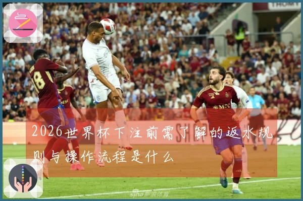 2026世界杯下注前需了解的返水规则与操作流程是什么