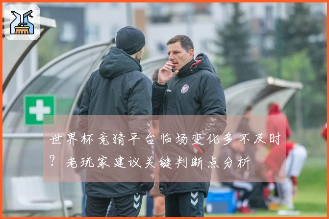 世界杯竞猜平台临场变化多不及时？老玩家建议关键判断点分析