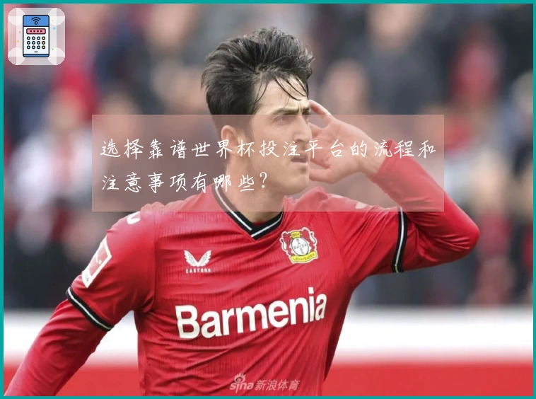 选择靠谱世界杯投注平台的流程和注意事项有哪些？