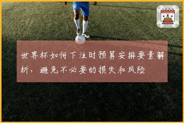 世界杯如何下注时预算安排要素解析，避免不必要的损失和风险
