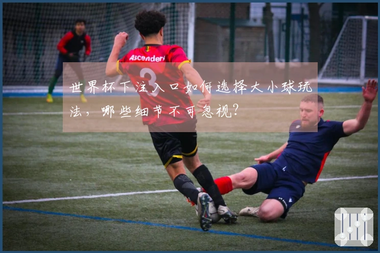 世界杯下注入口如何选择大小球玩法，哪些细节不可忽视？