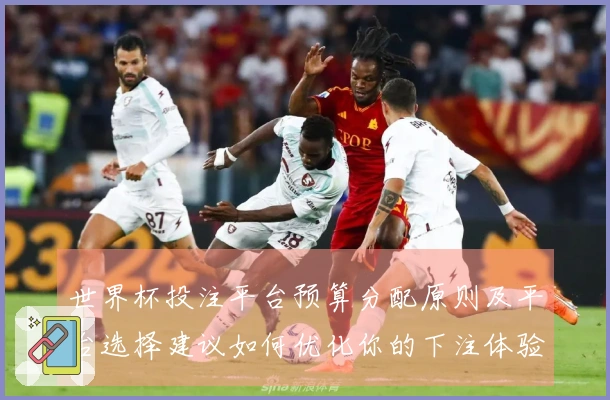 世界杯投注平台预算分配原则及平台选择建议如何优化你的下注体验