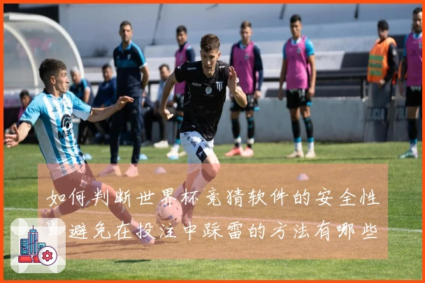 如何判断世界杯竞猜软件的安全性？避免在投注中踩雷的方法有哪些