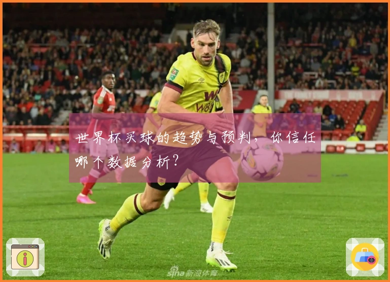 世界杯买球的趋势与预判，你信任哪个数据分析？