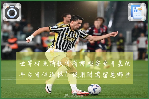 世界杯竞猜软件有哪些安全可靠的平台可供选择？使用时需留意哪些规则和风险？