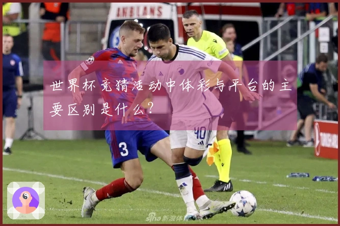 世界杯竞猜活动中体彩与平台的主要区别是什么？