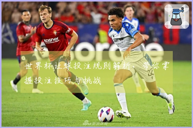 世界杯让球投注规则解析，带你掌握投注技巧与挑战