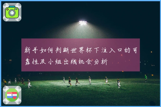新手如何判断世界杯下注入口的可靠性及小组出线机会分析