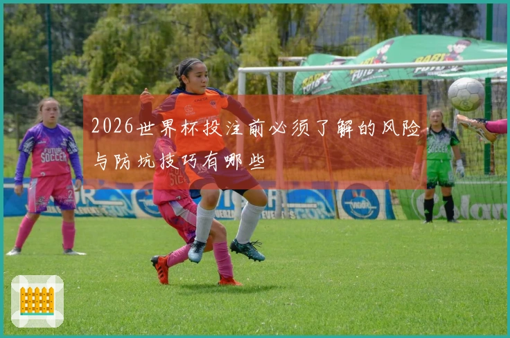 2026世界杯投注前必须了解的风险与防坑技巧有哪些