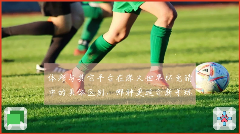 体彩与其它平台在烽火世界杯竞猜中的具体区别，哪种更适合新手玩家-