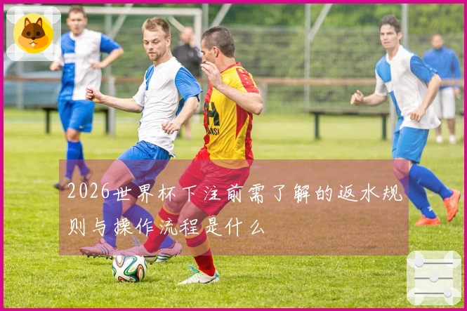 2026世界杯下注前需了解的返水规则与操作流程是什么